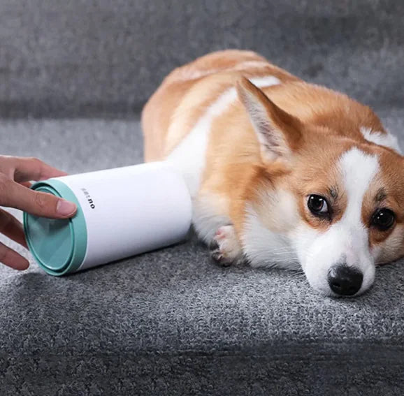 Hund mit Pfotenreiniger-Becher