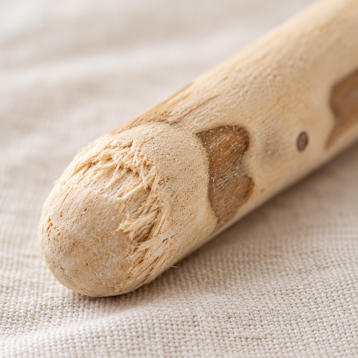 Palo masticable de madera de café para perros – hueso natural